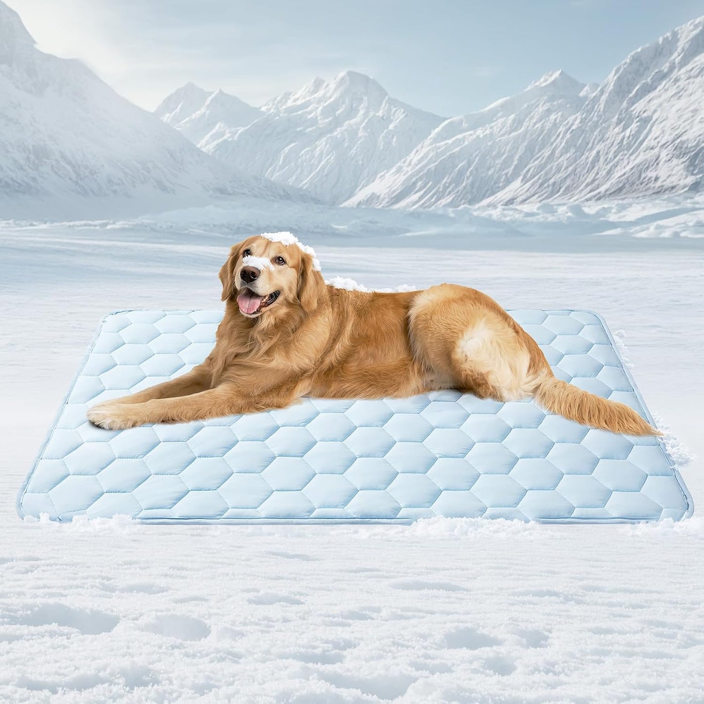 MomoNook Cooling Mat for Dogs, 41" x 28"(Q-Max>0.53), Washable Dog Cooling Mat, Portable Kennel Cooling Pet Pad for Summer, Non-Slip Summer Crate Pad for Large Dog
