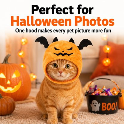 Pumpkin Bat Pet Costume Hood for Halloween Photos
